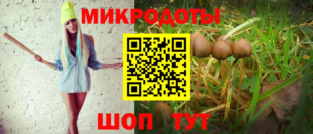 Галлюциногенные грибы мицелий  Вход с VPN  Псилоцибиновые грибы GOLDEN TEACHER  Щёлково 