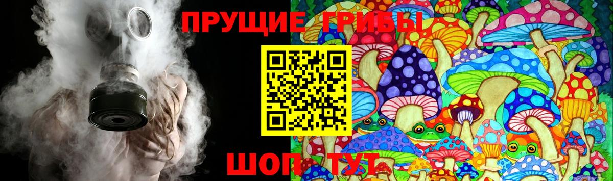Галлюциногенные грибы прущие грибы Щёлково